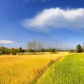 大批家庭奔赴加拿大定居，核心吸引力到底是什么？